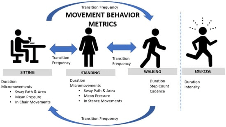Movement Behavior and Health Outcomes among Sedentary Adults: A Cross-Sectional Study - Rmour by creatiodesign
