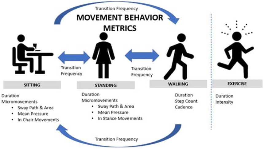 Movement Behavior and Health Outcomes among Sedentary Adults: A Cross-Sectional Study